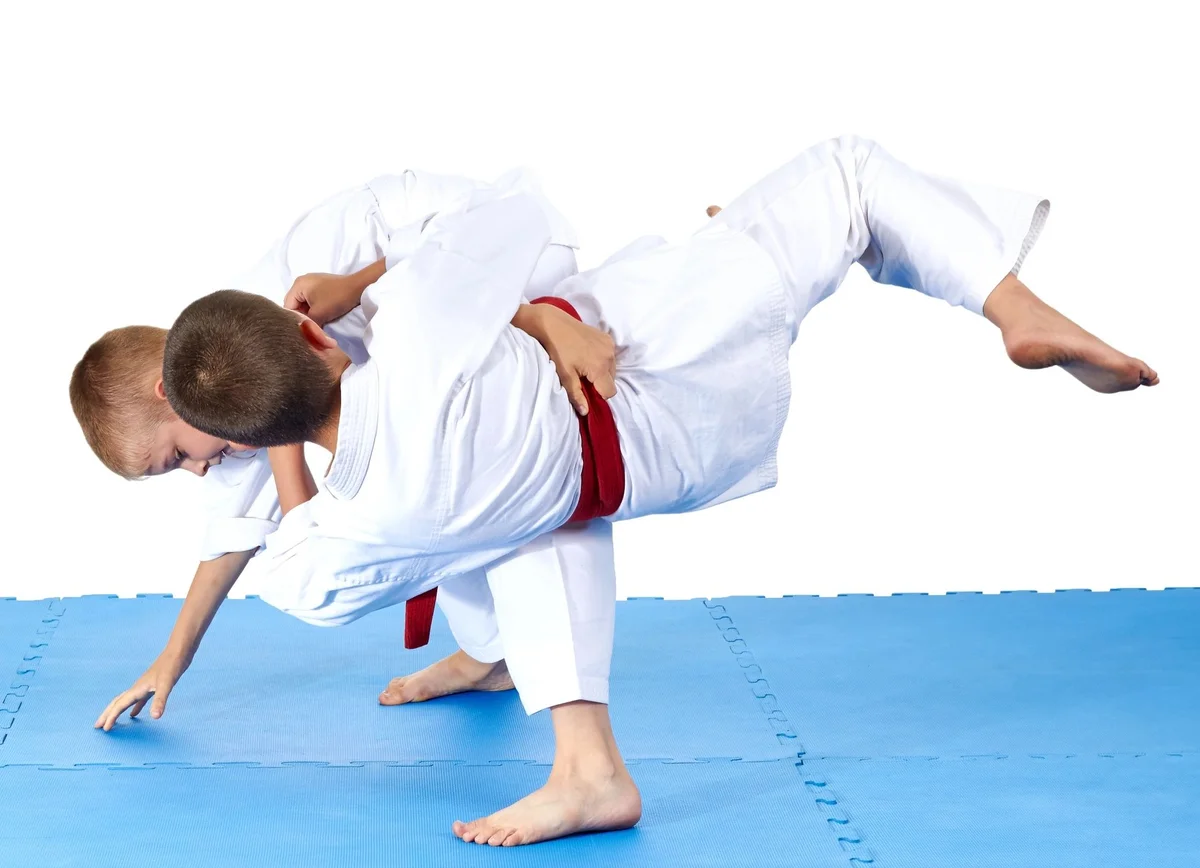 Natural Law Jiu Jitsu academy logo