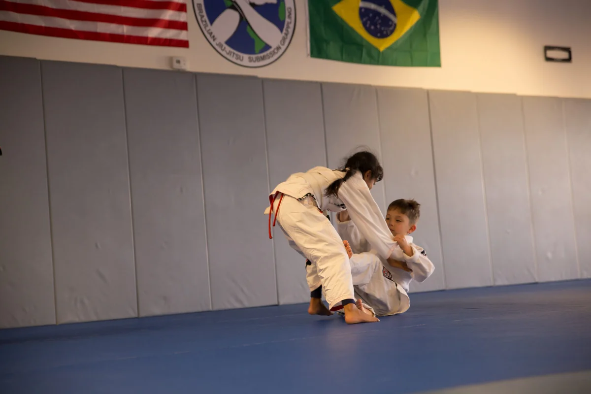 One Love Grappling Arts LLC facility image