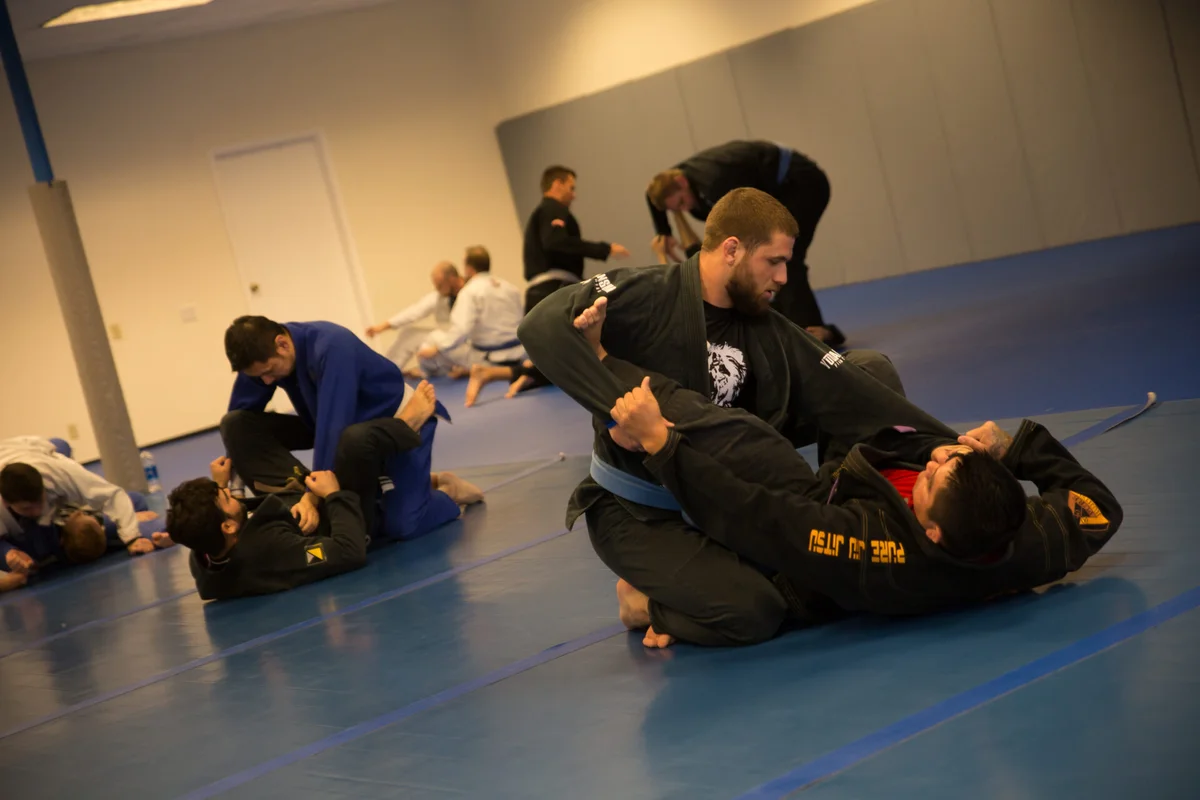 One Love Grappling Arts LLC facility image