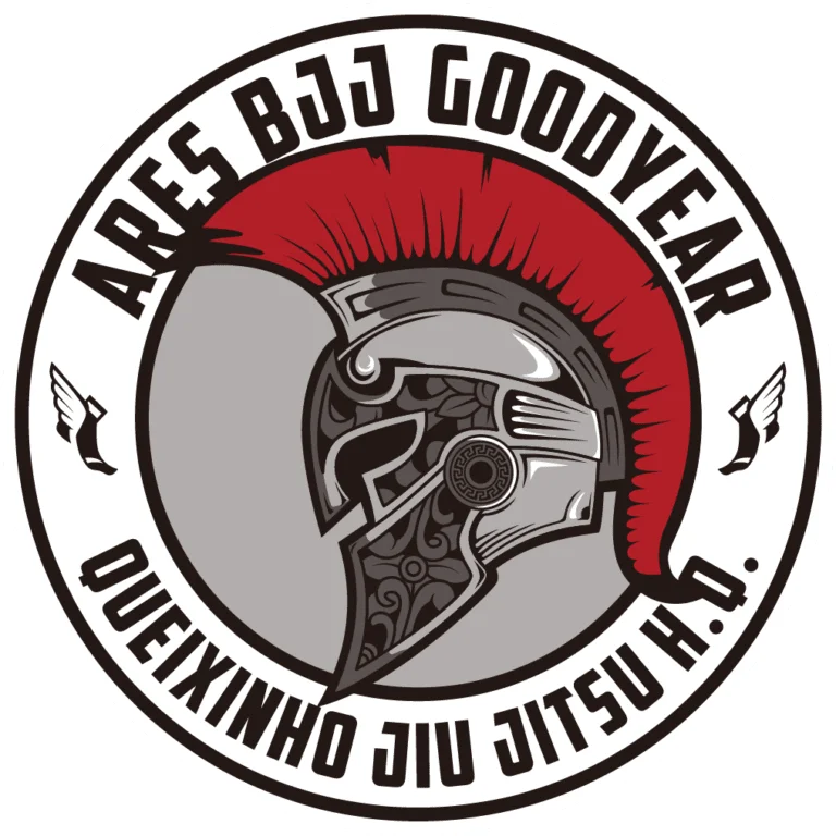 Phoenix Jiu Jitsu/Ares Brazilian Jiu Jitsu Goodyear academy photo