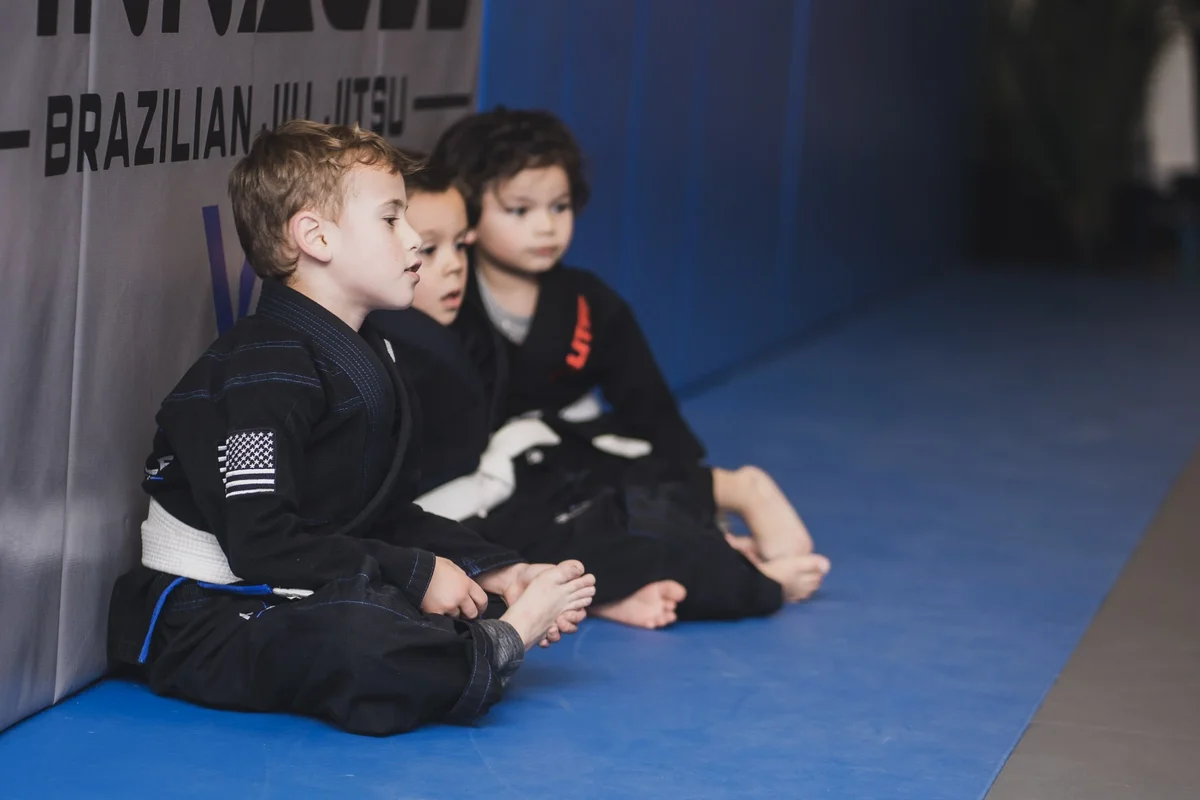 Pinnacle BJJ visual