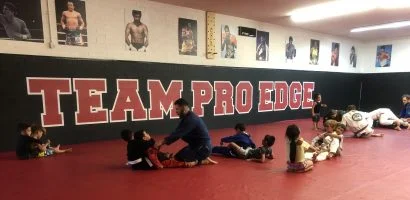 Pro Edge Boxing, MMA & Brazilian Jiujitsu facility image