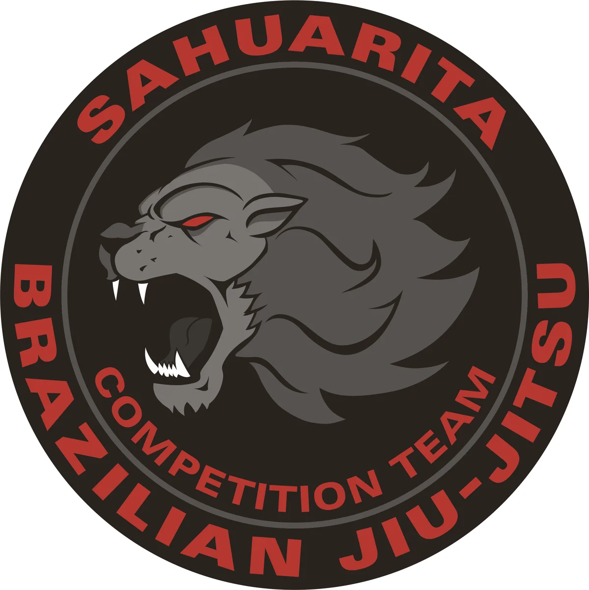 Sahuarita Brazilian Jiu Jitsu facility image