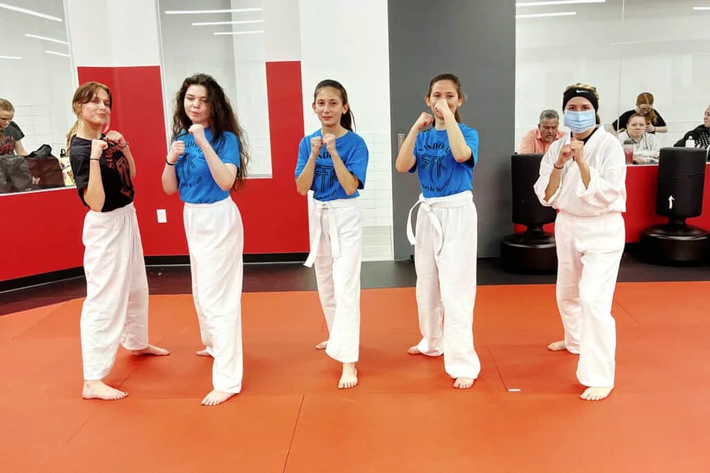 Sandoval Freestyle Karate academy logo