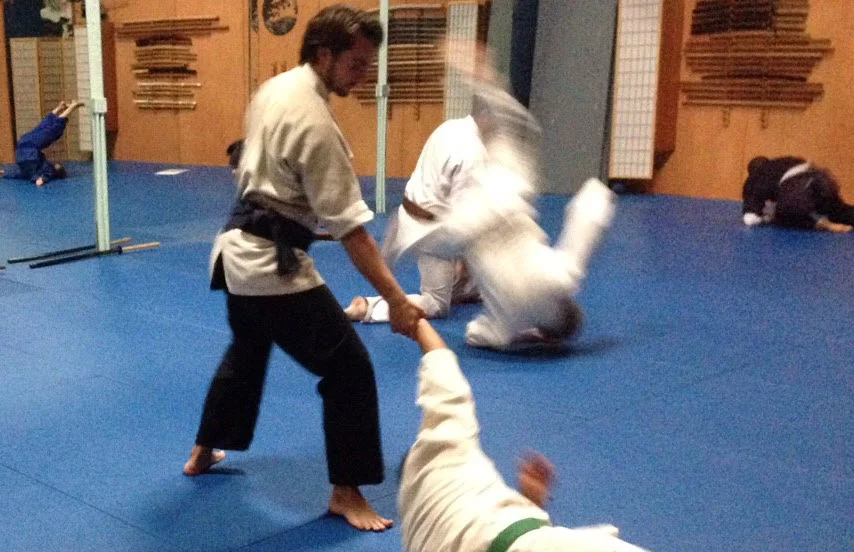 Sanrin Mountain Dojo facility image