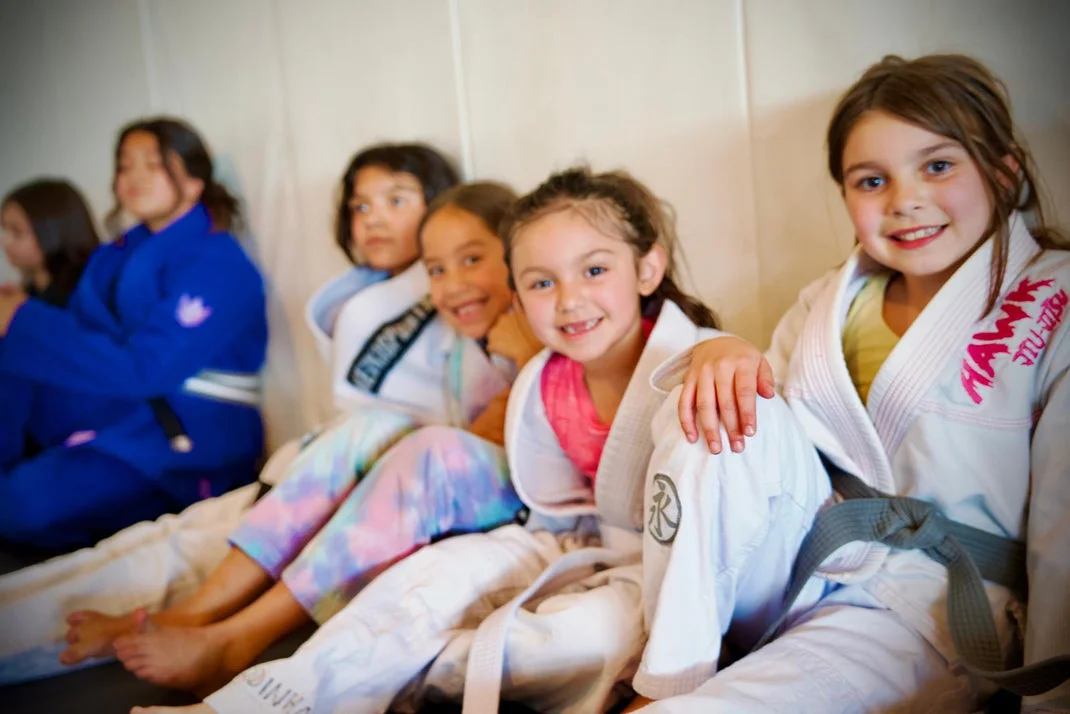 Sardinha Brazilian Jiu Jitsu academy logo