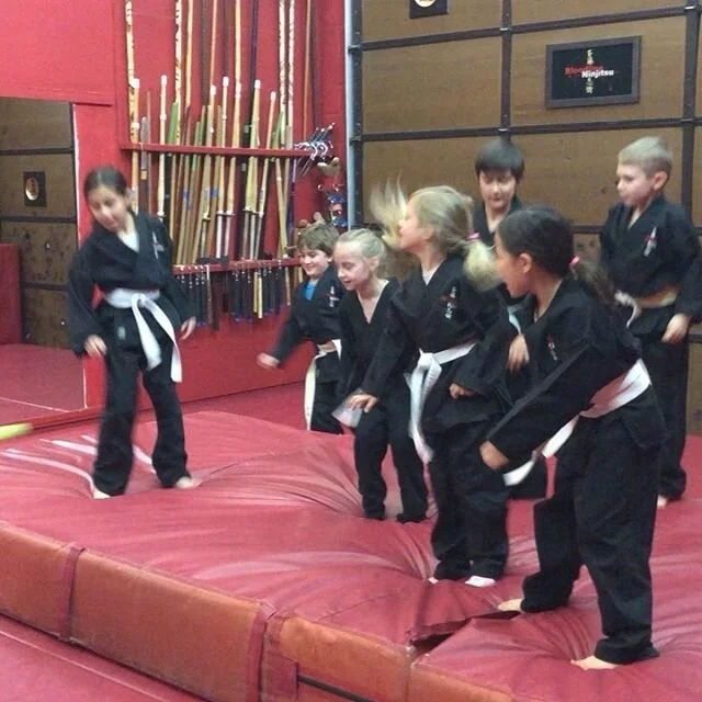 Scottsdale Jiu-Jitsu facility image