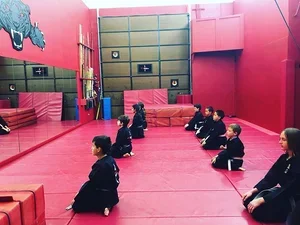 Scottsdale Jiu-Jitsu facility image