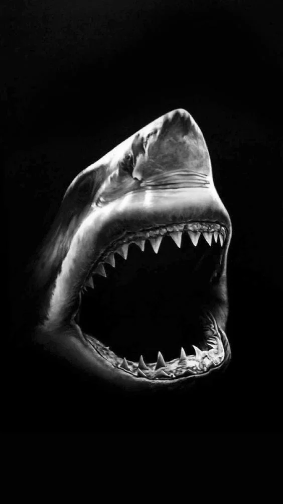 SHARKSIDE JIU-JITSU facility image