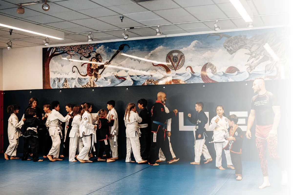 Ursidae Jiu-jitsu academy photo