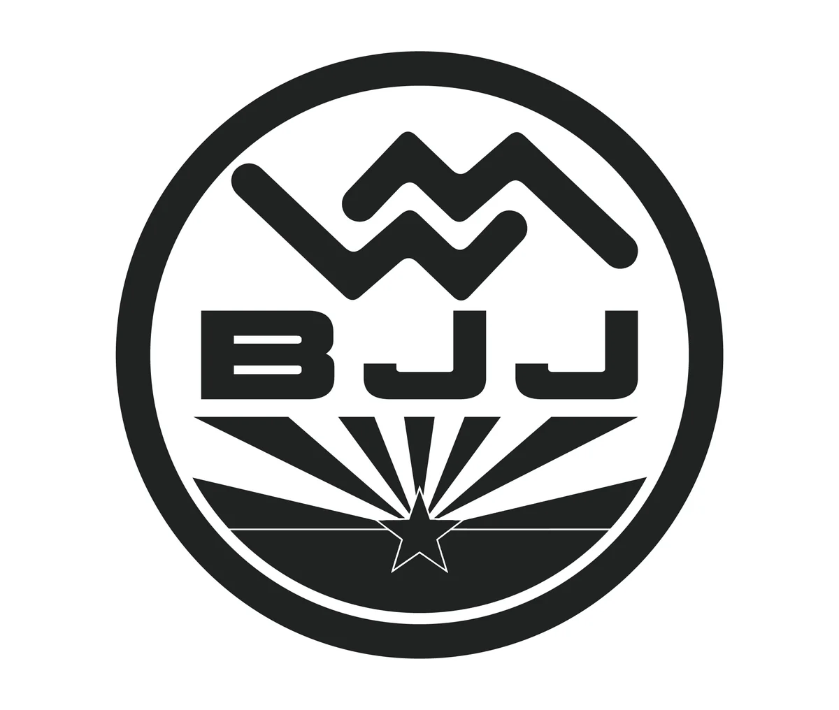 WHITE MOUNTAIN BJJ facility image