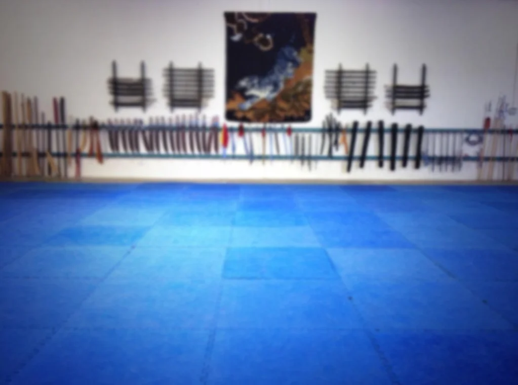 World Martial Arts Academy facility image