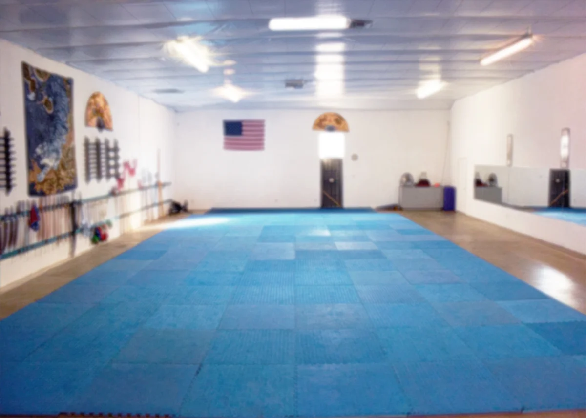 World Martial Arts Academy facility image