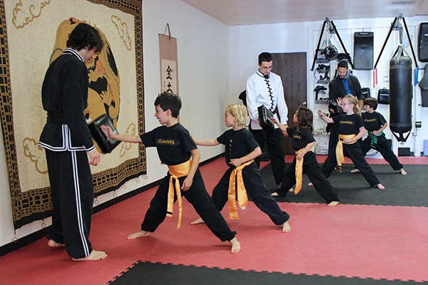 5 Elements Martial Arts San Diego academy logo