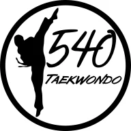 540 Taekwondo academy logo