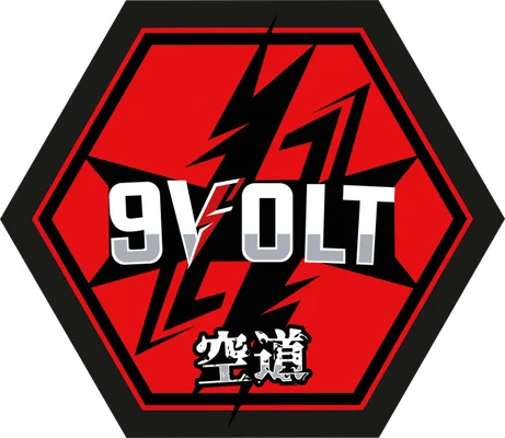 9 Volt MMA academy photo