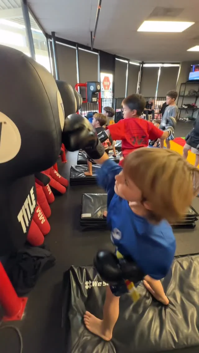 9 Volt MMA academy photo