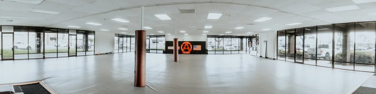 A-Team Jiu-Jitsu academy photo