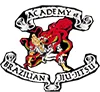 Academy of Brazilian Jiu-Jitsu academy logo