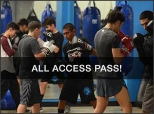 Adrenaline Martial Arts and Fitness, LLC academy logo