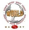 Adult Martial Arts — WEST COAST BERRYESSA - Martial Arts academy photo