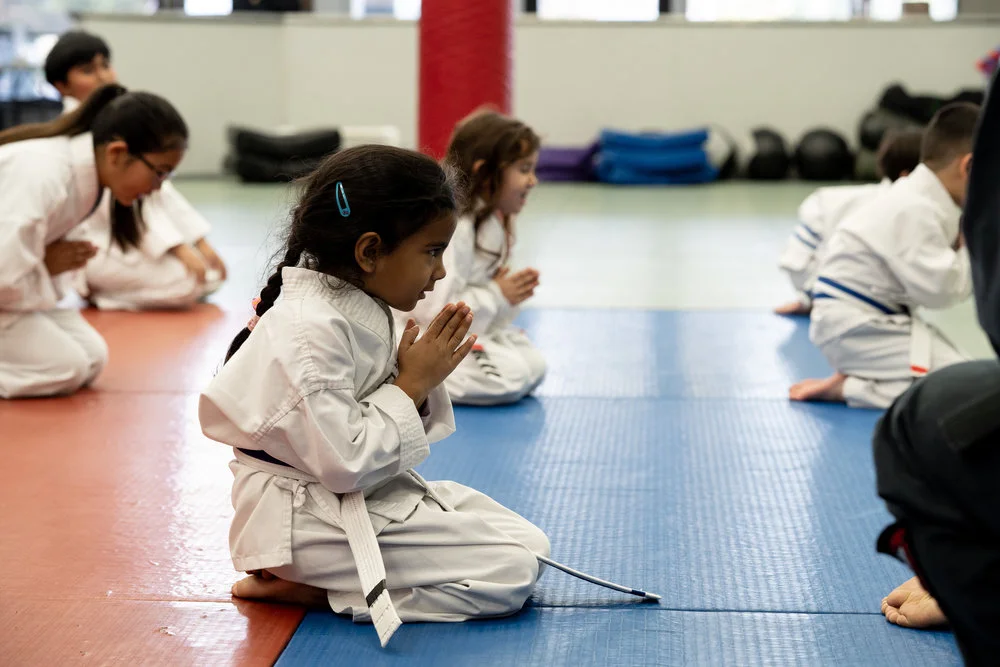 Adult Martial Arts — WEST COAST BERRYESSA - Martial Arts academy photo