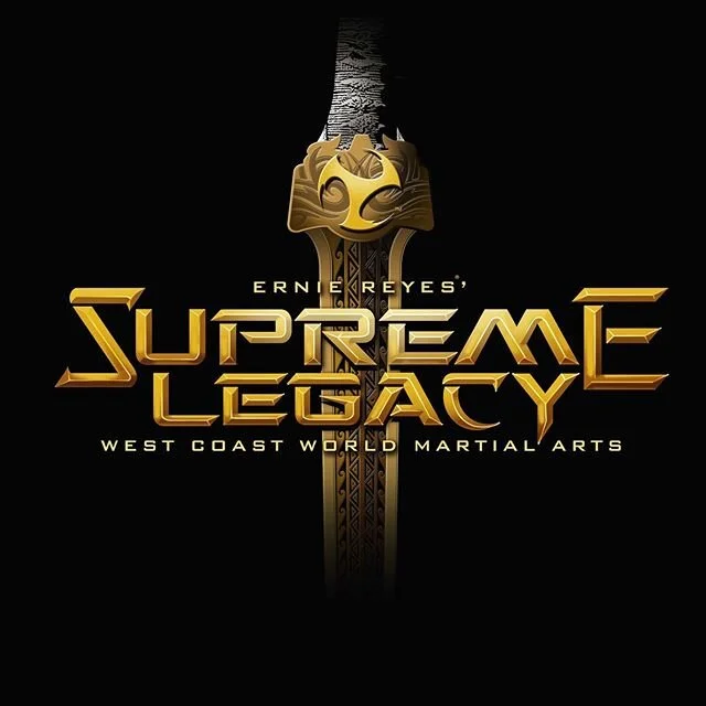 Adult Martial Arts — WEST COAST BERRYESSA - Martial Arts academy photo