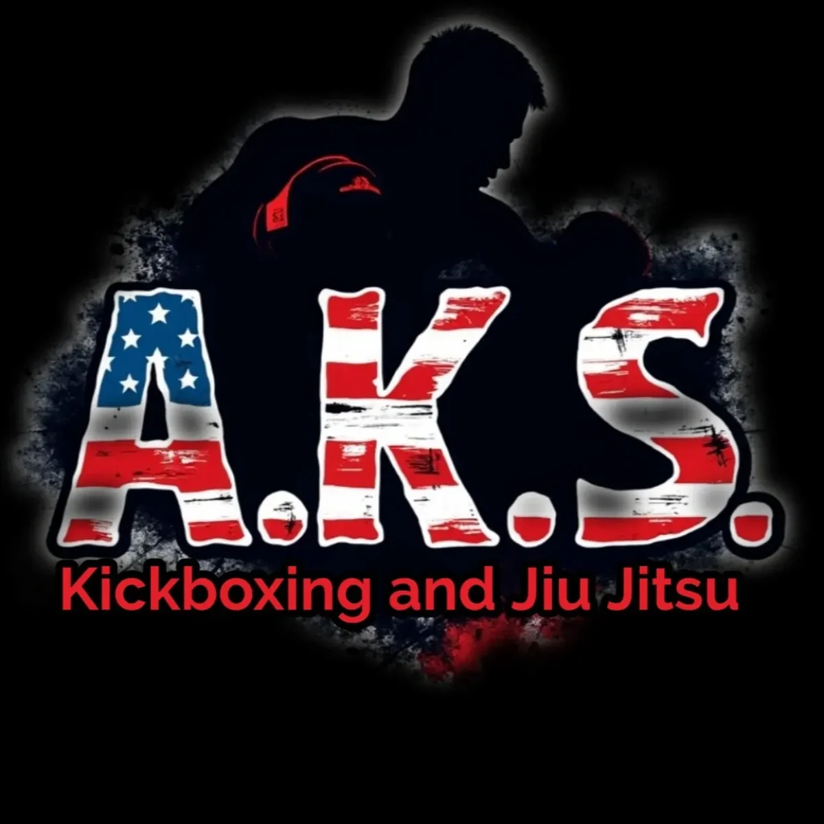 AFFINITY KICKBOXING STUDIO (AKS JIU JITSU) academy photo