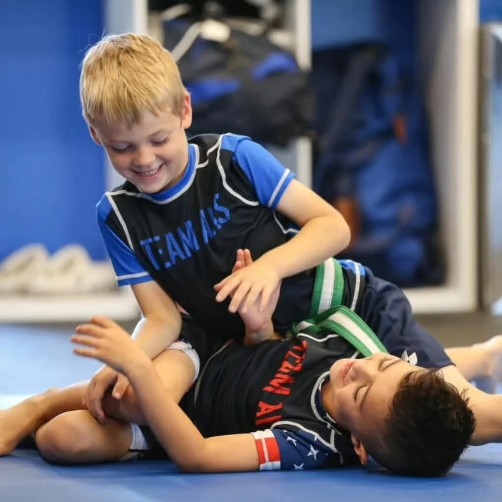 AFFINITY KICKBOXING STUDIO (AKS JIU JITSU) academy photo