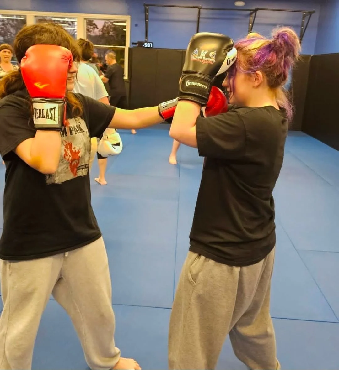 AFFINITY KICKBOXING STUDIO (AKS JIU JITSU) academy photo