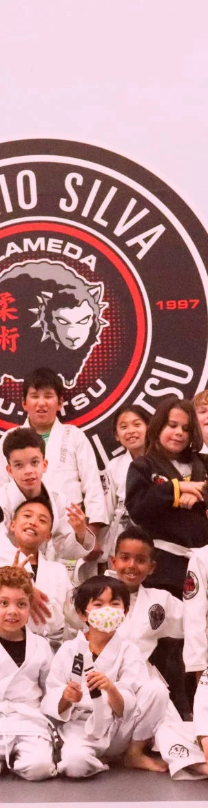ALAMEDA JIU-JITSU / Alameda Brazilian Jiu-Jitsu Academy academy photo