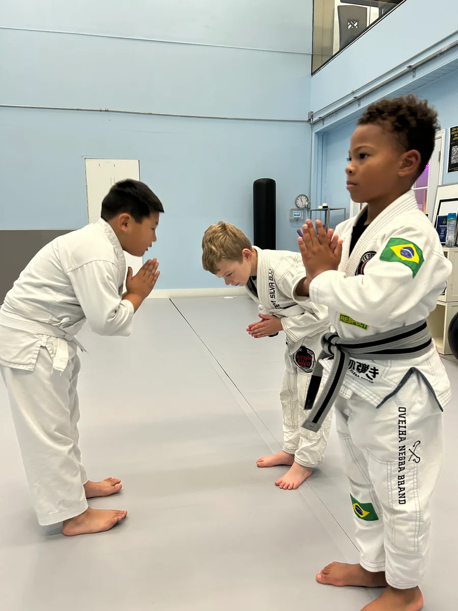 ALAMEDA JIU-JITSU / Alameda Brazilian Jiu-Jitsu Academy academy photo