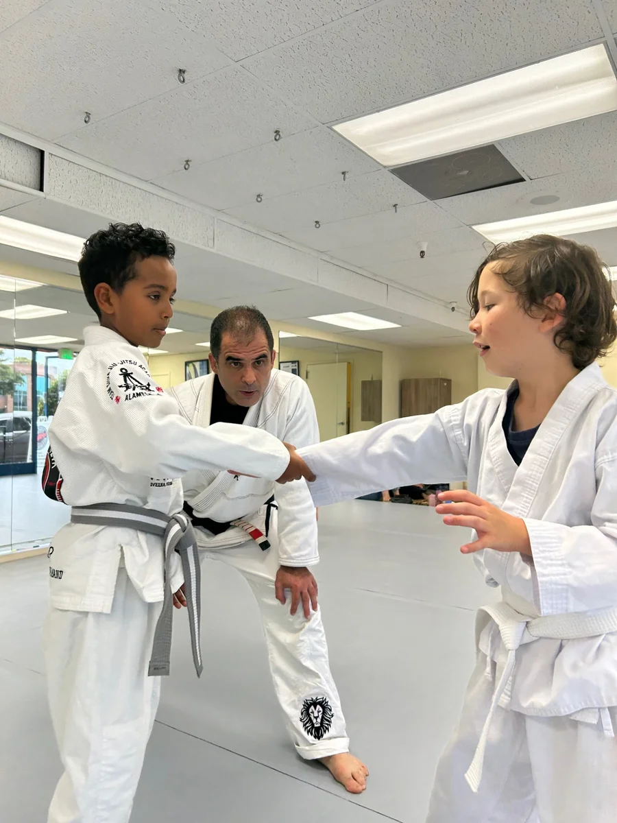 ALAMEDA JIU-JITSU / Alameda Brazilian Jiu-Jitsu Academy academy photo