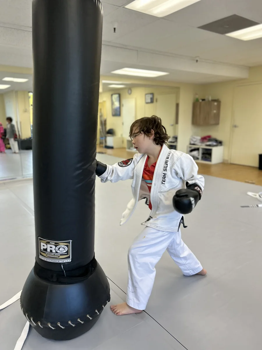 ALAMEDA JIU-JITSU / Alameda Brazilian Jiu-Jitsu Academy academy photo