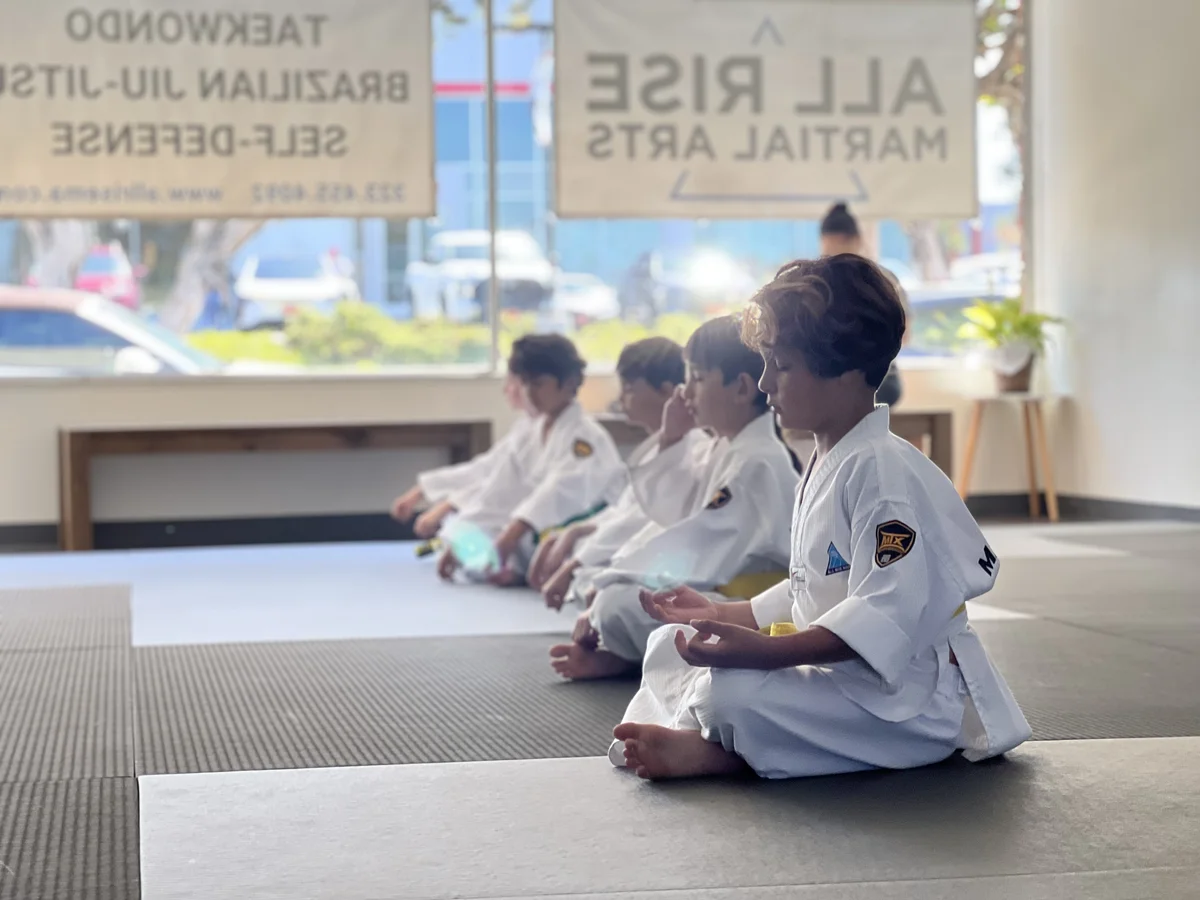 All Rise Martial Arts academy photo
