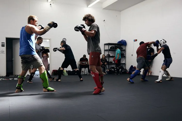 Allied MMA academy photo