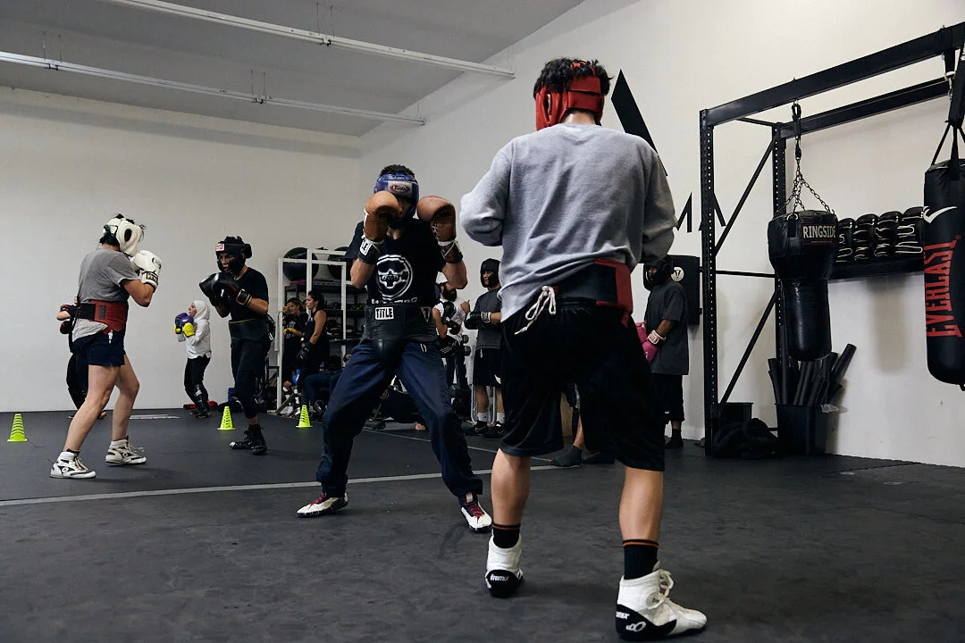 Allied MMA academy photo