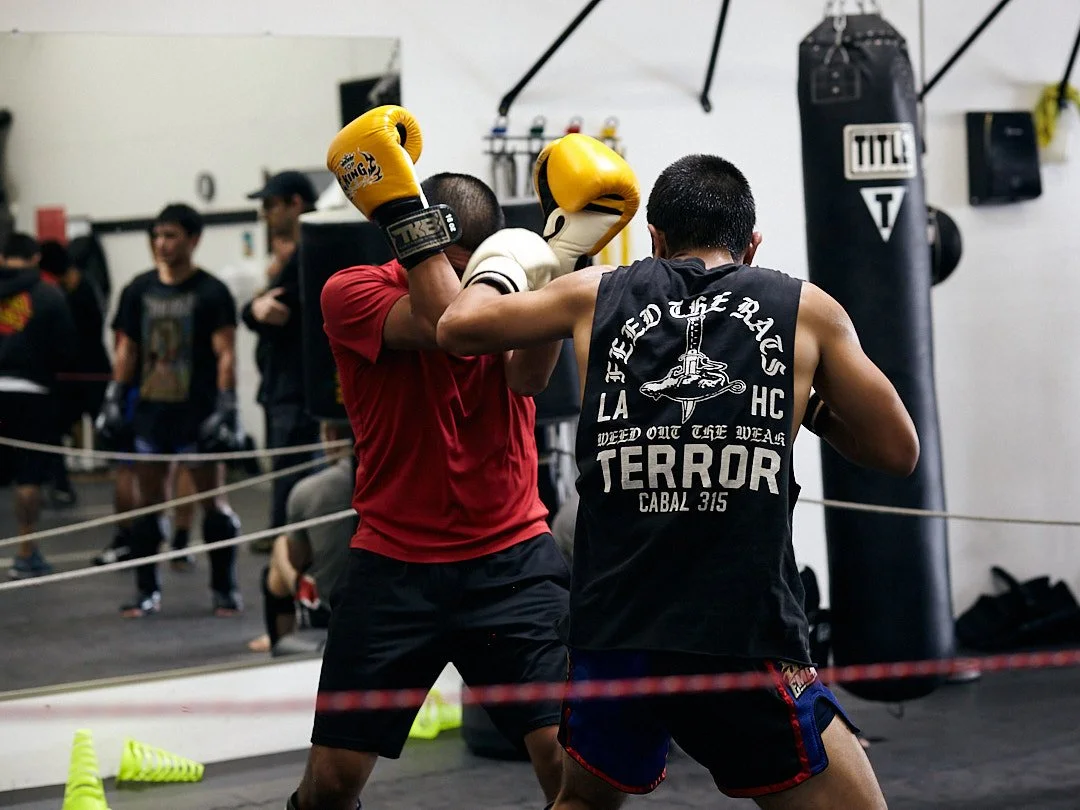 Allied MMA academy photo