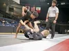American Grappling Academy academy photo