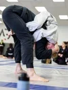 American Grappling Academy academy photo