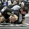 American Grappling Academy academy photo