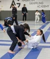 American Grappling Academy academy photo