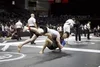 American Grappling Academy academy photo