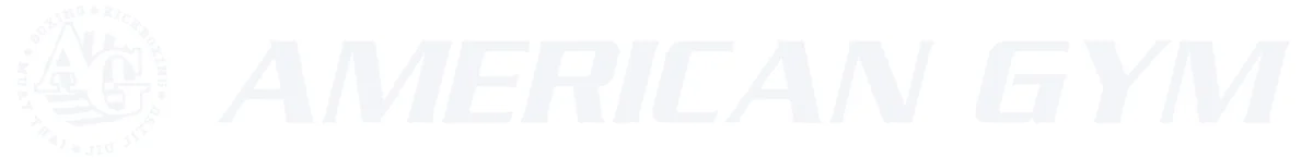 American Gym academy logo