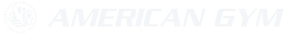 American Gym academy photo