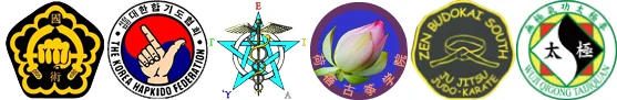 Ancient Arts Kuk Sool Kwan Hapkido HQ visual