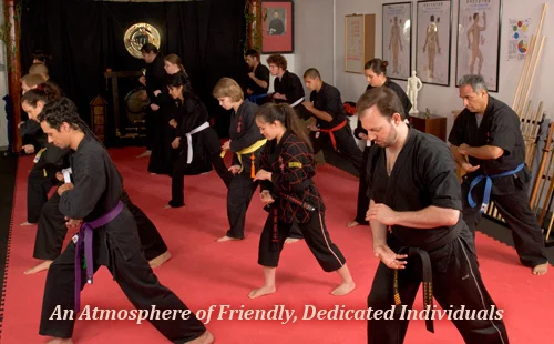 Ancient Arts Kuk Sool Kwan Hapkido HQ academy photo