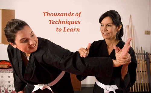 Ancient Arts Kuk Sool Kwan Hapkido HQ academy photo