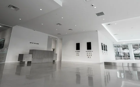 AOJ (Art of Jiu-Jitsu) Academy academy photo