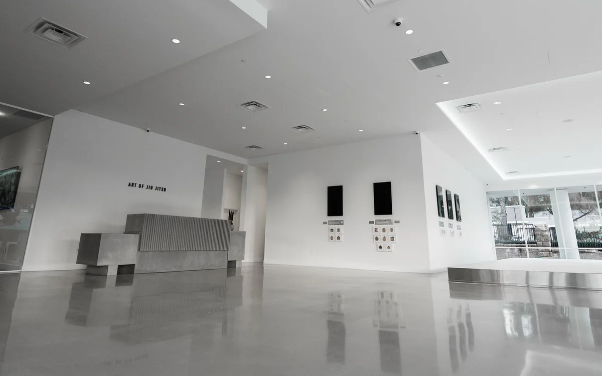 AOJ (Art of Jiu-Jitsu) Academy academy photo